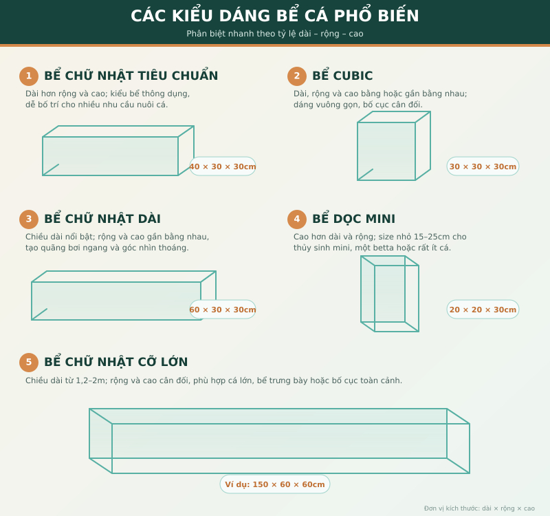 Kích thước bể cá tiêu chuẩn: Bảng size và cách chọn phù hợp
