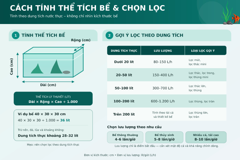Lọc bể cá: Các loại phổ biến và cách chọn phù hợp cho người mới