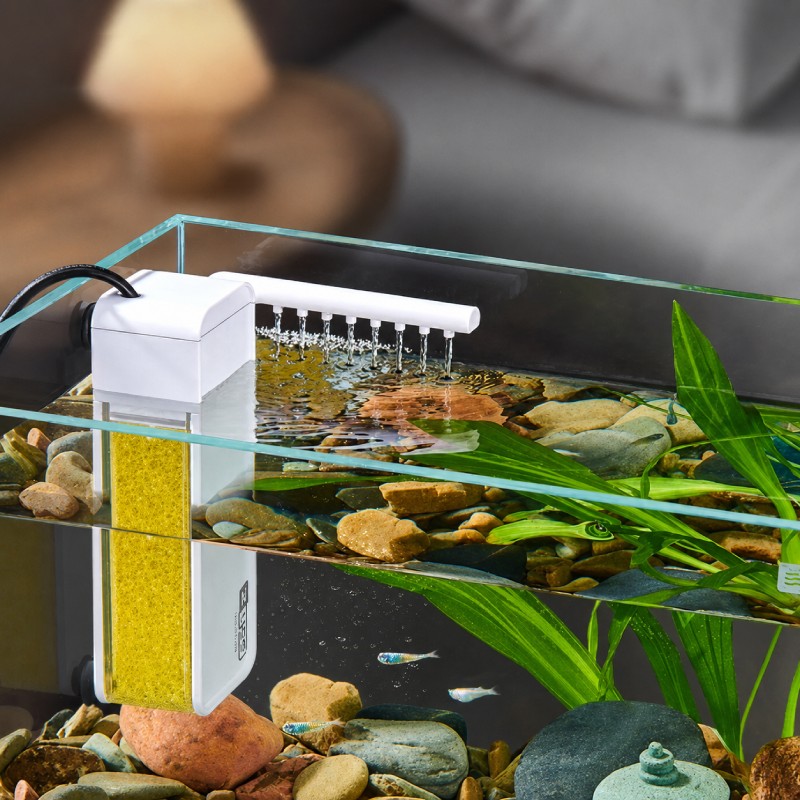 Lọc bể cá mini: Cách chọn máy lọc cho bể dưới 40L