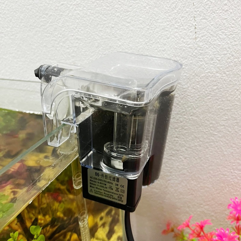 Lọc bể cá: Các loại phổ biến và cách chọn phù hợp cho người mới