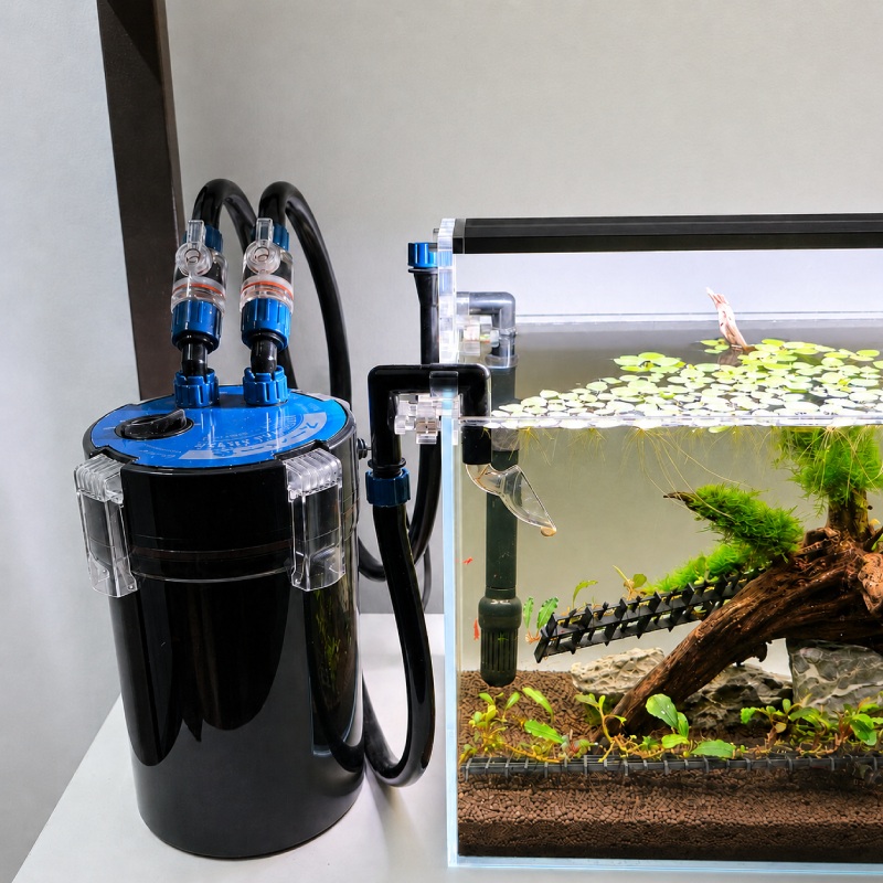 Lọc bể cá mini: Cách chọn máy lọc cho bể dưới 40L