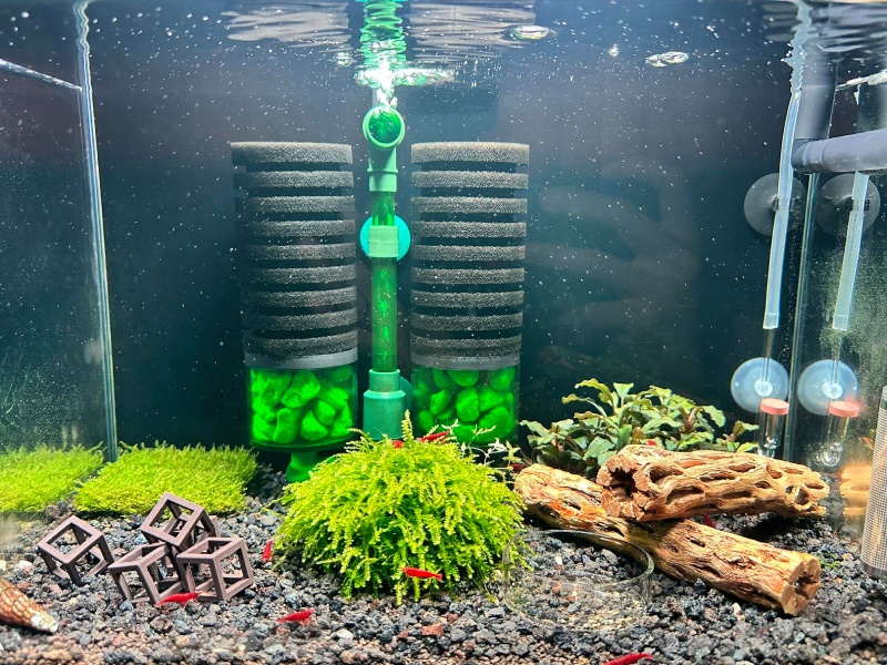 Lọc bể cá mini: Cách chọn máy lọc cho bể dưới 40L