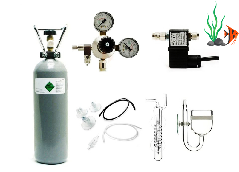 Cách cung cấp CO2 cho hồ thủy sinh hiệu quả, an toàn