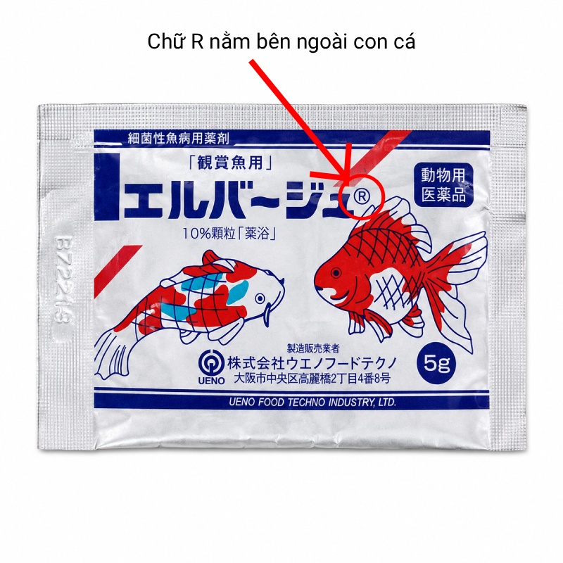 Tetra Nhật có tốt không? Công dụng và cách dùng