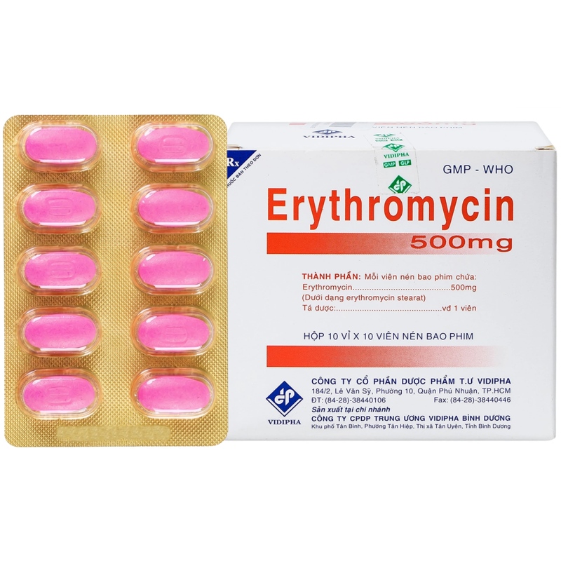 Thuốc diệt rêu bể cá: Nhận biết rêu hại và chọn đúng loại