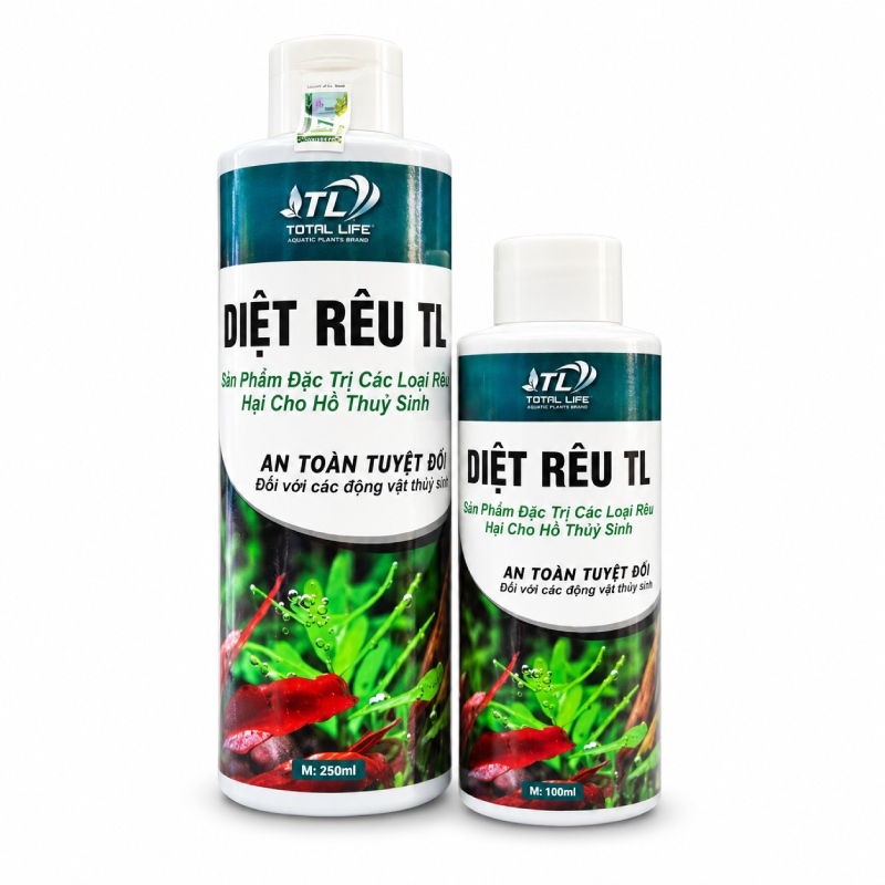 Thuốc diệt rêu bể cá: Nhận biết rêu hại và chọn đúng loại